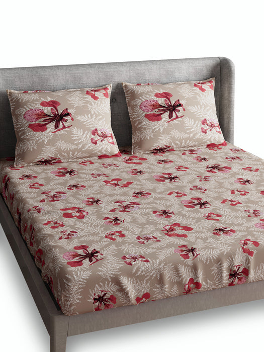 300 TC Poinciana Beige 100% Cotton King Size Bed Sheet 108x108 IN with 2 Pillow Covers 18x27 IN – Soft, Luxurious, Breathable, Durable, Premium Bed Linen – All Season Comfort & Machine Washable