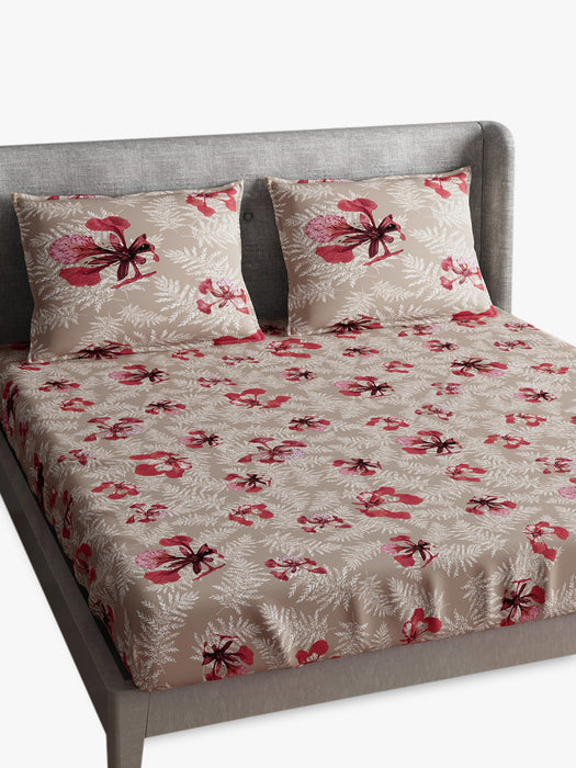 Petal Home Poinciana Beige Queen Size Bedsheet 300 TC 100 Percent Cotton Soft Breathable Durable Luxurious Bedding Set 100x90 IN with 2 Pillow Covers 18x27 IN Machine Washable All Season Cotton Bed Linen for Home and Hotel