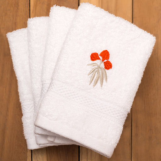 PH-FTE-003-BRI-0027-0