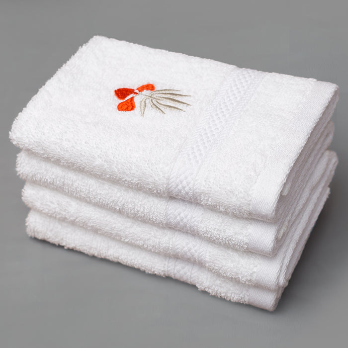 PH-FTE-003-BRI-0027-1