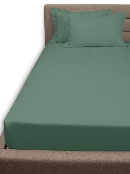 300 TC Teal 100% Cotton King Size Bed Sheet with 2 Pillow Covers