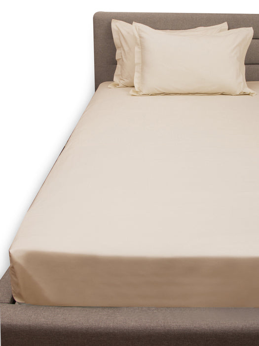 300 TC Taupe 100% Cotton King Size Bed Sheet with 2 Pillow Covers
