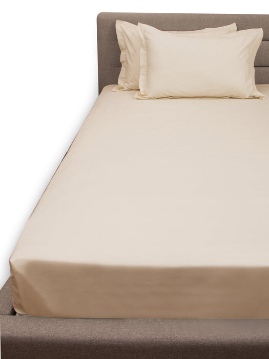 300TC Queen cotton Bedsheet with 2 Pillow covers Plain taupe Collection