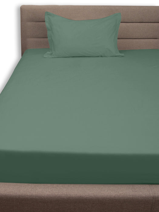300 TC Teal 100% Cotton Single Bed Sheet with 1Pillow Cover
