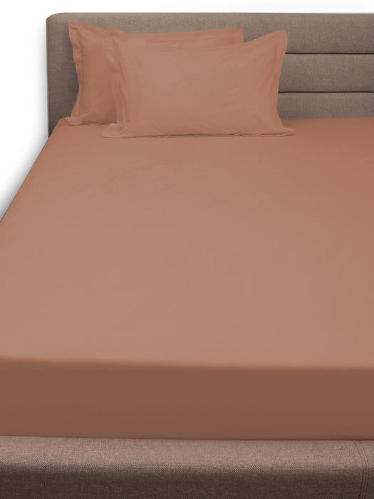 300 TC Peach 100% Cotton Queen Size Bed Sheet with 2 Pillow Covers